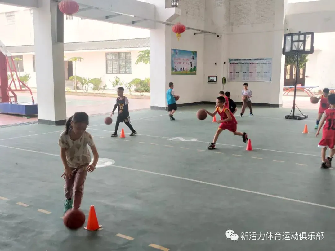 如何通过视频教程提升分卫技能_2